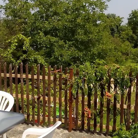 Tubarozsa Apartament *
