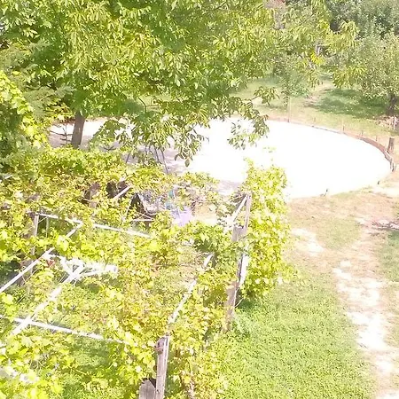 Tubarozsa Apartament